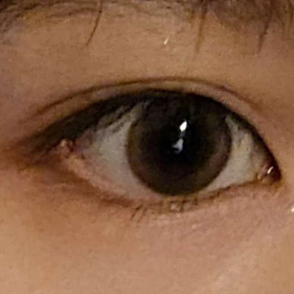 Aube Pie Moon Brown Silicone - 1 Month (2pcs) [14.2mm]
