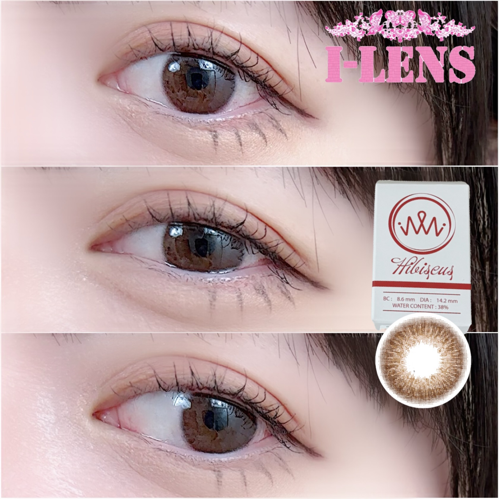 Iwwi Hibiscus Brown 1 month
