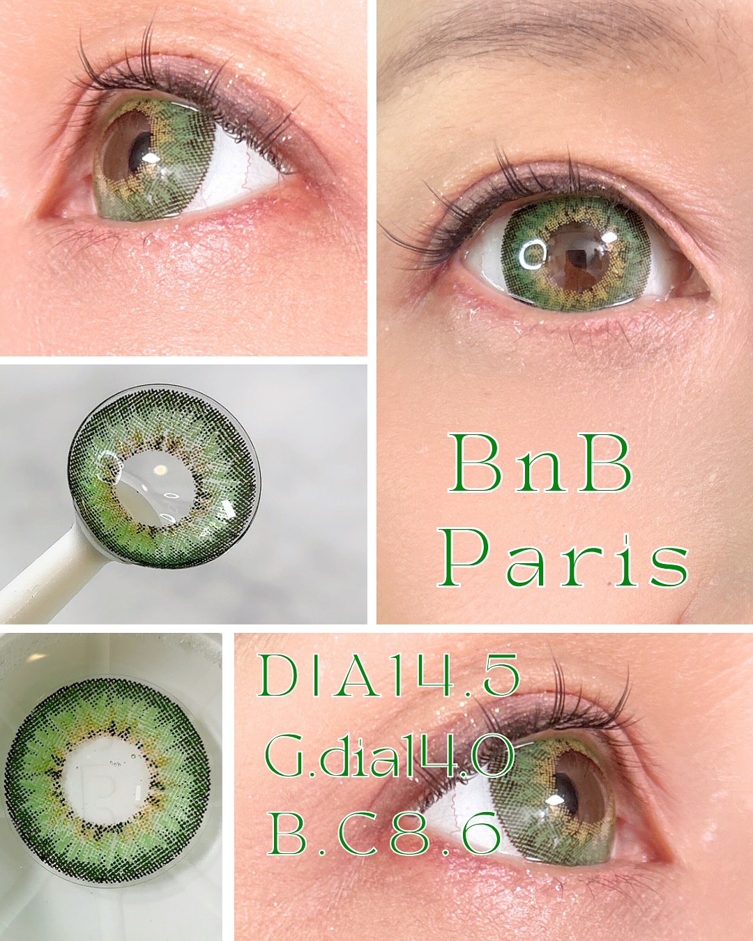DUEBA社 BnB Paris GREEN [14.5mm]