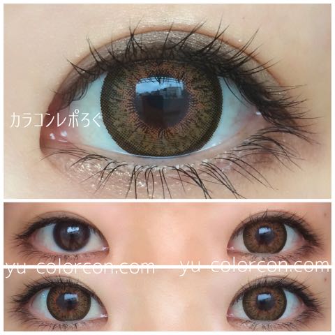 【floral pop-3 brown】