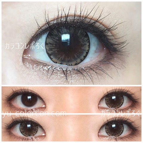【Fortune Cookie brown】