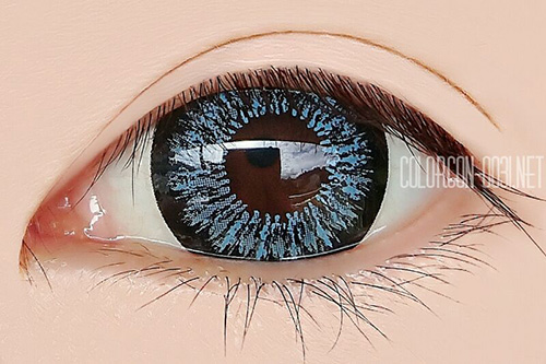 ■TA204 Vivid/ビビッド Blue■