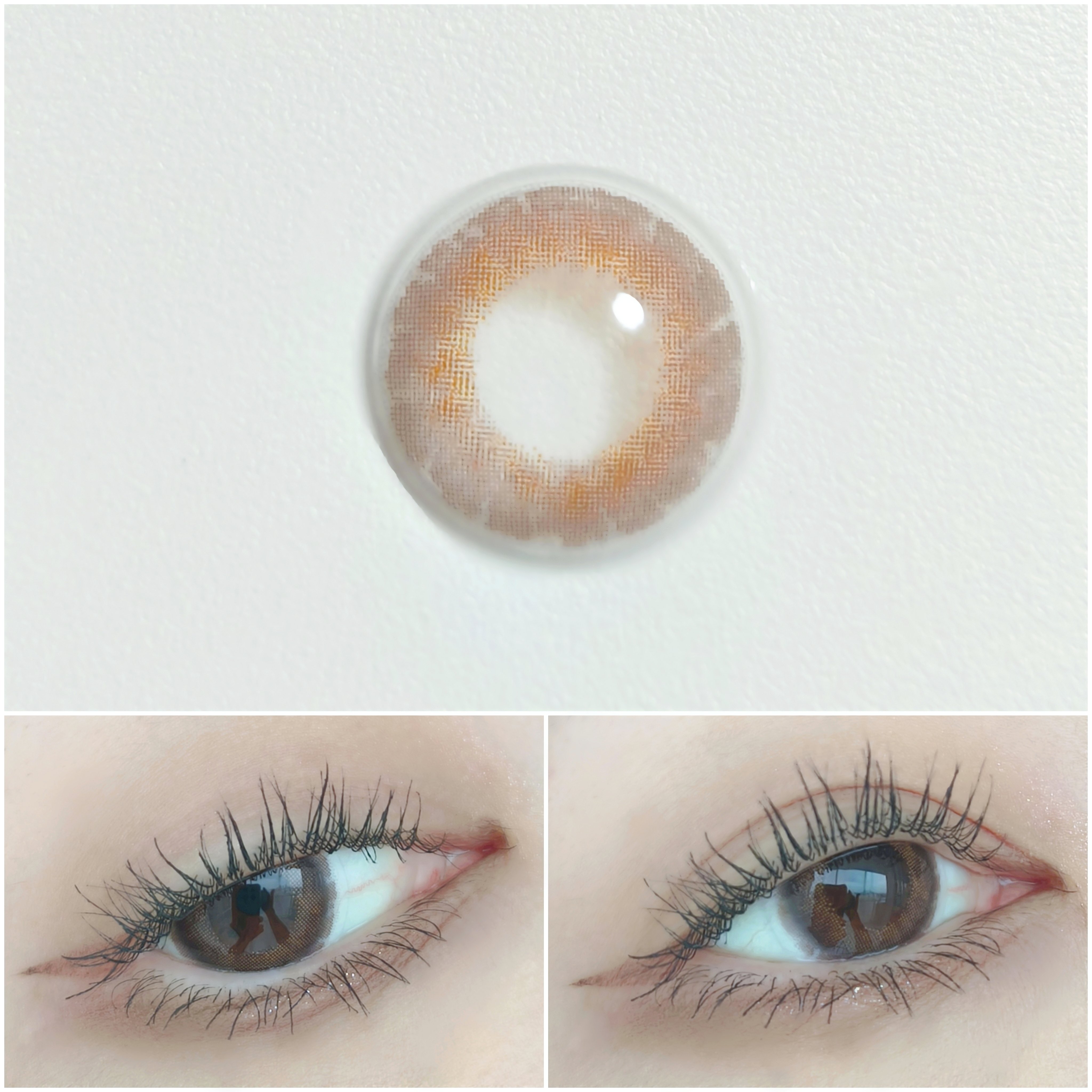 Lens Rang  Celinay <CHOCO> 1ヶ月