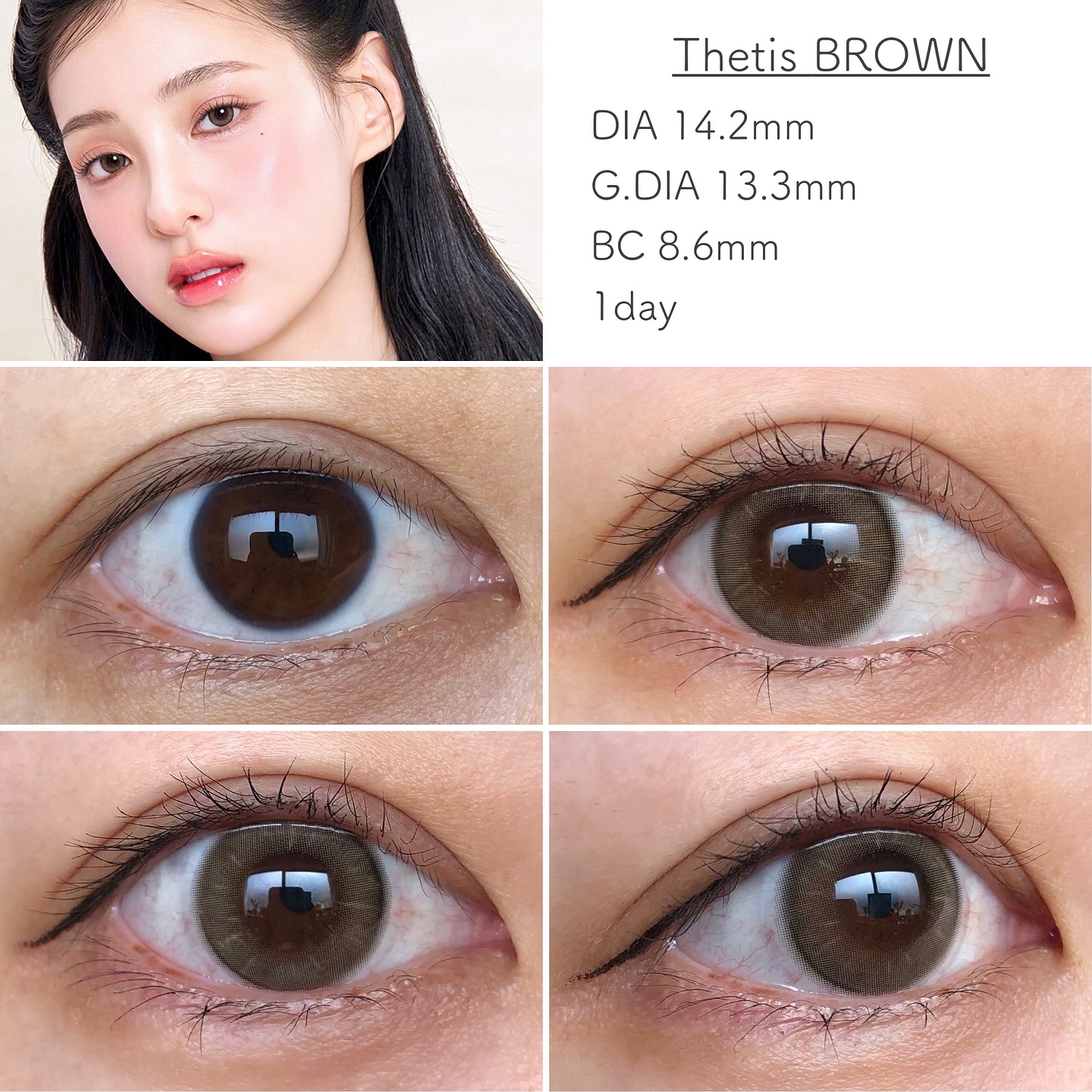 Thetis BROWN 1Day(1箱 10枚入)